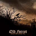 Old Forest - Hang ed Man Single Edit