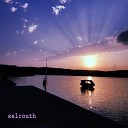 Selcouth Sounds - Toybox Gala