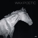 Wax Poetic feat Sissy Clemens Ilhan Ersahin - Tonight