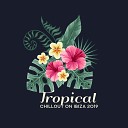 Tropical Chill Music Land Best of Hits Cafe… - Purple Aquarium