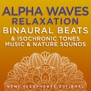 Binaural Beats Research David Steve Gordon - Tension and Stress Soother 9 1 Hz Alpha Frequency Binaural…
