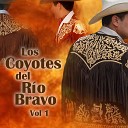 Los Coyotes del R o Bravo - Cari o Sin Condici n