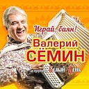 Валерий Семин Белый день - Журавли