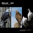 Diane Di Donato - Meditation and Relaxation Eagle