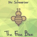 Mr Schwarzer - Love The Music Original Mix