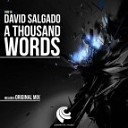 David Salgado - A Thousand Words Original mix