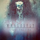 WH LESFLY - INSOMNI PL NET FE T МП 13