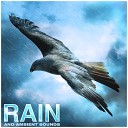 Nature Sounds Rain Sounds Nature Sounds Nature… - Yoga Original Mix
