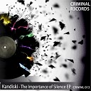 Kandinski - The Rhythm Original Mix