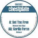 Distance feat Stepa - Set You Free Original Mix