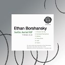 Ethan Borshansky - Field 3 Original Mix