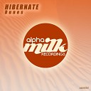 Hibernate - Dunes Original Mix