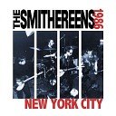 The Smithereens - Beauty and Sadness Live