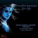 Raag Music Therapy - Powerful Mantras for Life Shiva Rudra Gayatri…