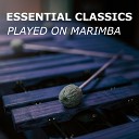 Marimba Guy Classical Instrumentals The Classic… - O du mein holder Abendstern Marimba Version