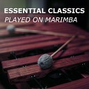 Marimba Guy Classical Instrumentals Classical Music… - Tegernseer L ndler Marimba Version