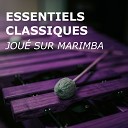 Marimba Guy Musique Classique Instrumentale Musique… - Carnaval de Venise version marimba