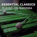 Marimba Guy Classical Instrumentals Classical Music… - Aria Eugene Onegin Marimba Version