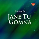 Ilyas Nau Zai - Jane Tu Gomna