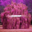 Acidtrip - Experiences