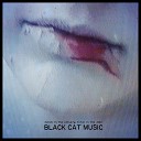 Black Cat Music - Williamsburg Bridge Song