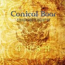 The Conical Boar Saxophone Quintet - Contrapuntal Waltz
