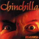 Chinchilla - Fight