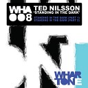 Ted Nilsson - Standing In The Dark Part 1