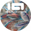 Forces of Nature - Sol Wave Original Mix