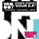 Andrew Johnson - Sour Apples Original Mix