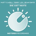 Matt Caseli Terry Lex Sean David - She Just Wants Jason Chance Remix