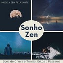 Andr Zen P ssaros - Reduzir o Estresse