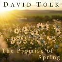 David Tolk - The Promise of Spring