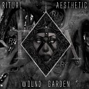 Ritual Aesthetic - The Analog Flesh