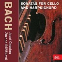 Zuzana R i kov Josef Chuchro - 3 Sonatas for Viola da Gamba and Harpsichord No 2 in D Major BWV 1028 III Andante Arr for Cello and…