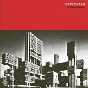 David Shea - The Red Chapel
