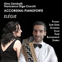 Gino Zambelli Francesca Olga Cocchi - 14 Romances Op 34 No 14 Vocalise Arr for Accordion and…