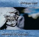 The Pineapple Thief - Wednesday November 6th