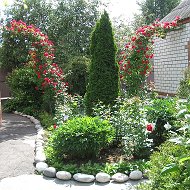 Сад Ледовских