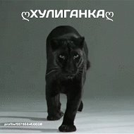 Хулиганочка ((((