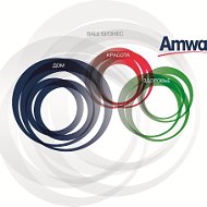 Amway Amway