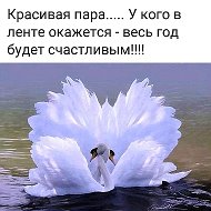 Дарина Зайцева