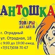 Магазин Антошка