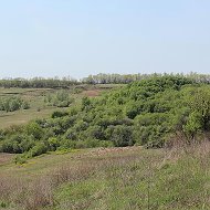 Любовь Перебейнос-кукарека