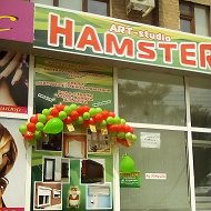 Hamster Натяжные