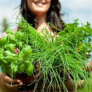 Рассада🌱семена 🌱клубника