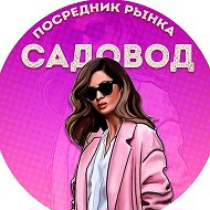 Стильная Одежда