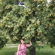 Елена Гоман