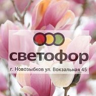 Светофор Новозыбков