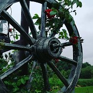 Wood Wheel